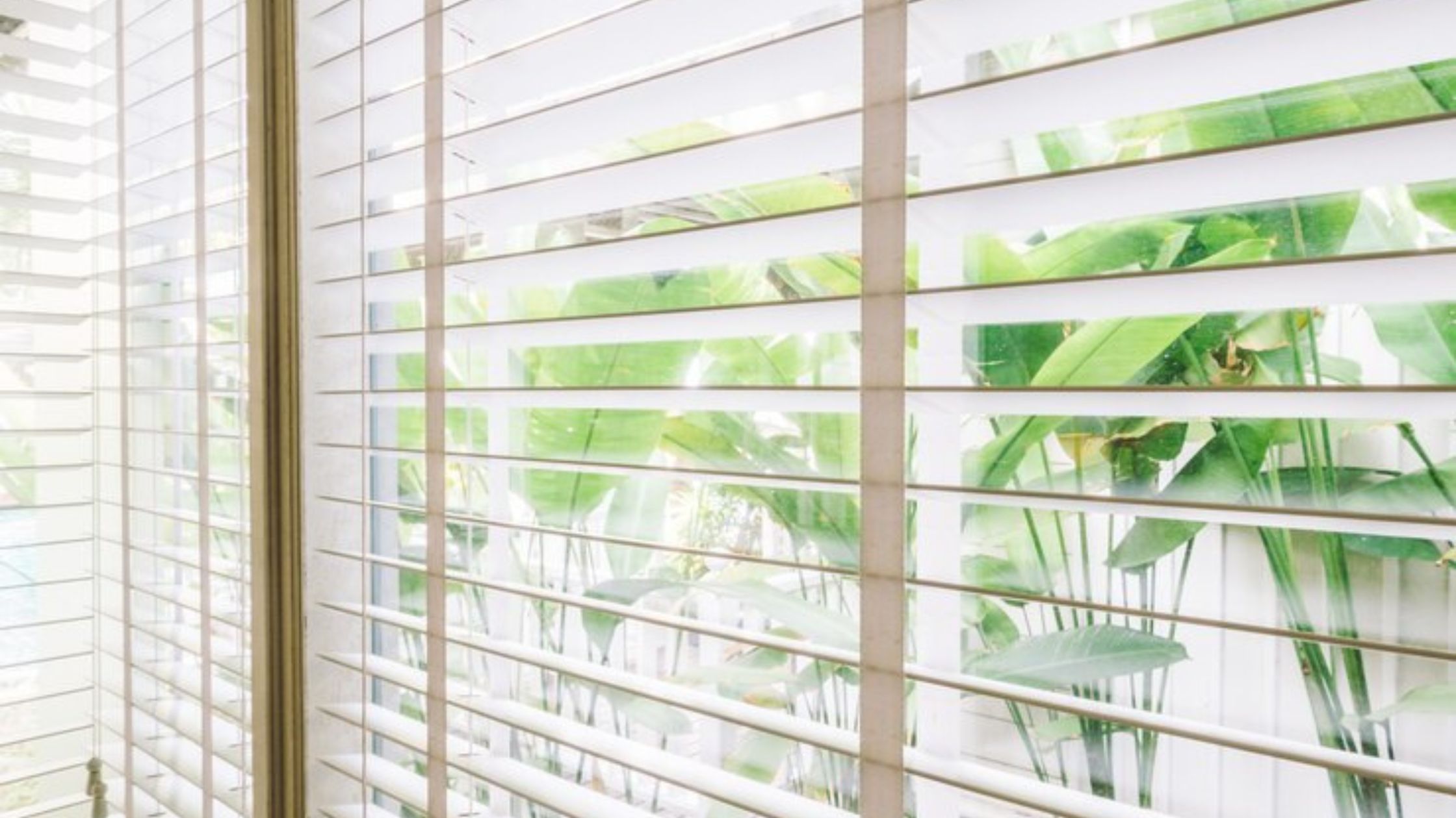 What Are the Ventilation Advantages of Plantation Shutters Allowing A Breath of Fresh Air?